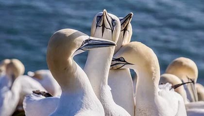 台州高价上海医保提取2025的最新政策(2025年台州上海医保怎么提取现金分享)