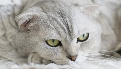 台州高价上海医保提取2025的最新政策(2025年台州上海医保怎么提取现金分享)