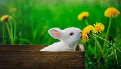 台州高价上海医保提取2025的最新政策(2025年台州上海医保怎么提取现金分享)